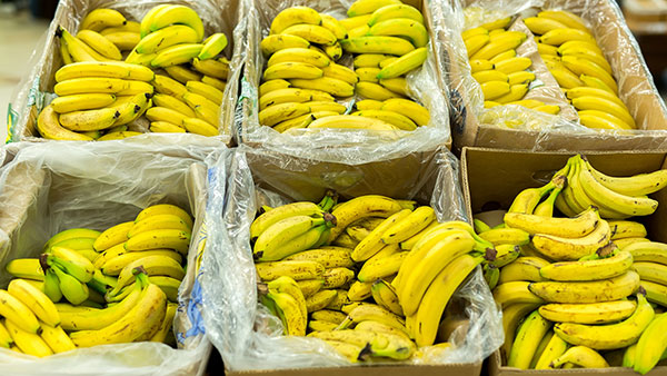 A single port disruption could have a devasting impact on the ability of the U.S. to import certain food products from Latin America.