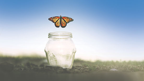 Procurement has a problem. It remains stuck in the past, but leading-edge companies have recognized this and have identified the foundational capabilities to transform their organizations.