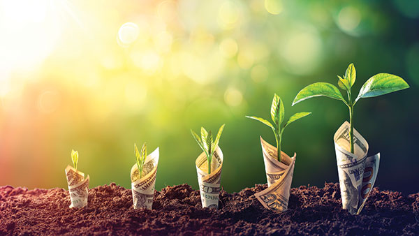 No longer considered just a cost center, the supply chain now plays a pivotal role in generating new revenue opportunities and ensuring companies meet the rising demands of today and tomorrow. Procter & Gamble is proving how.