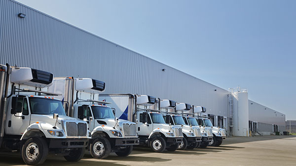 The temperature-controlled logistics industry is rapidly evolving, creating hot career opportunities driven by advancements in automation, data analytics, sustainability, and renewable energy. As the cold chain grows, businesses are investing heavily in workforce development to build the skilled, future-ready talent the industry needs.